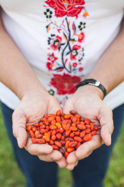 Person holding red seeds with a floral embroidered shirt in the background