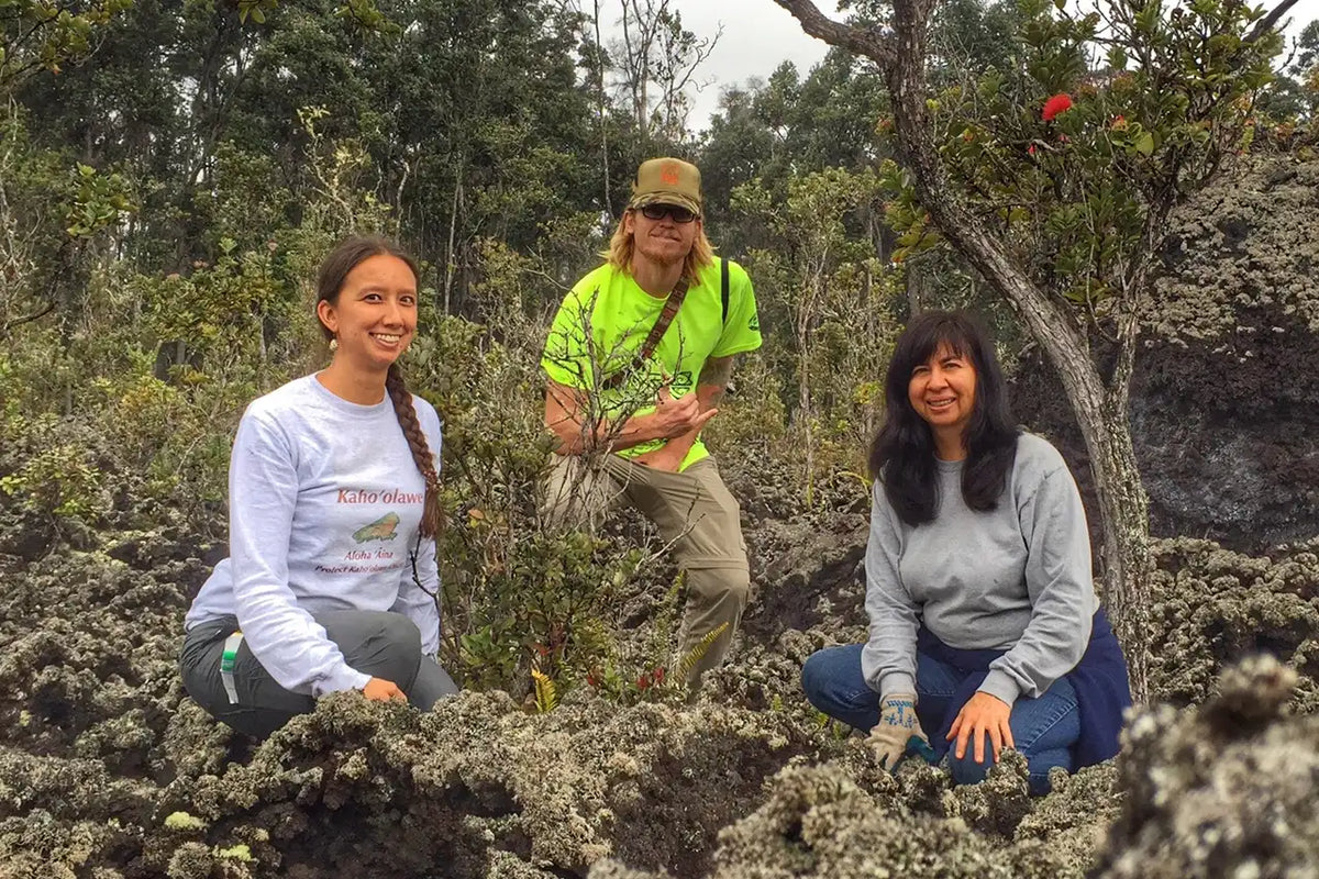Three people in a forested area with one holding a plant