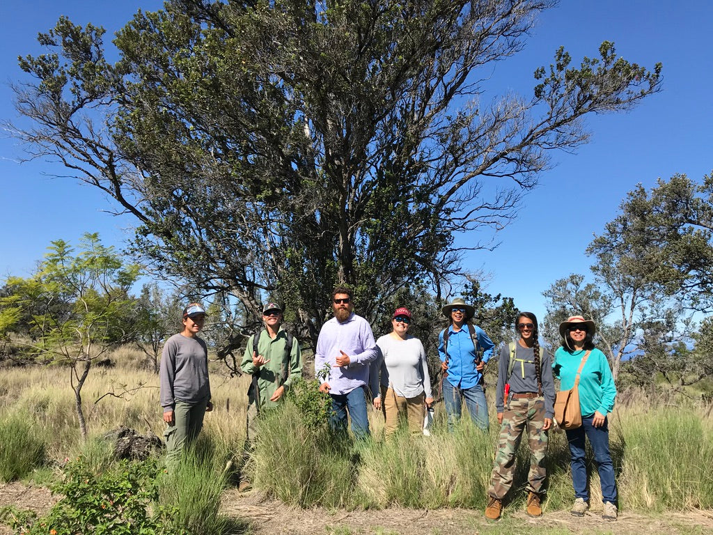 Group of people standing in a grassy area with trees and clear blue sky