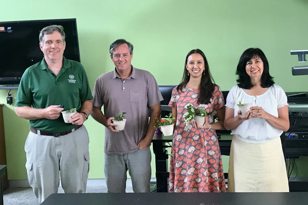 Four people holding small plants in a room with green walls.
