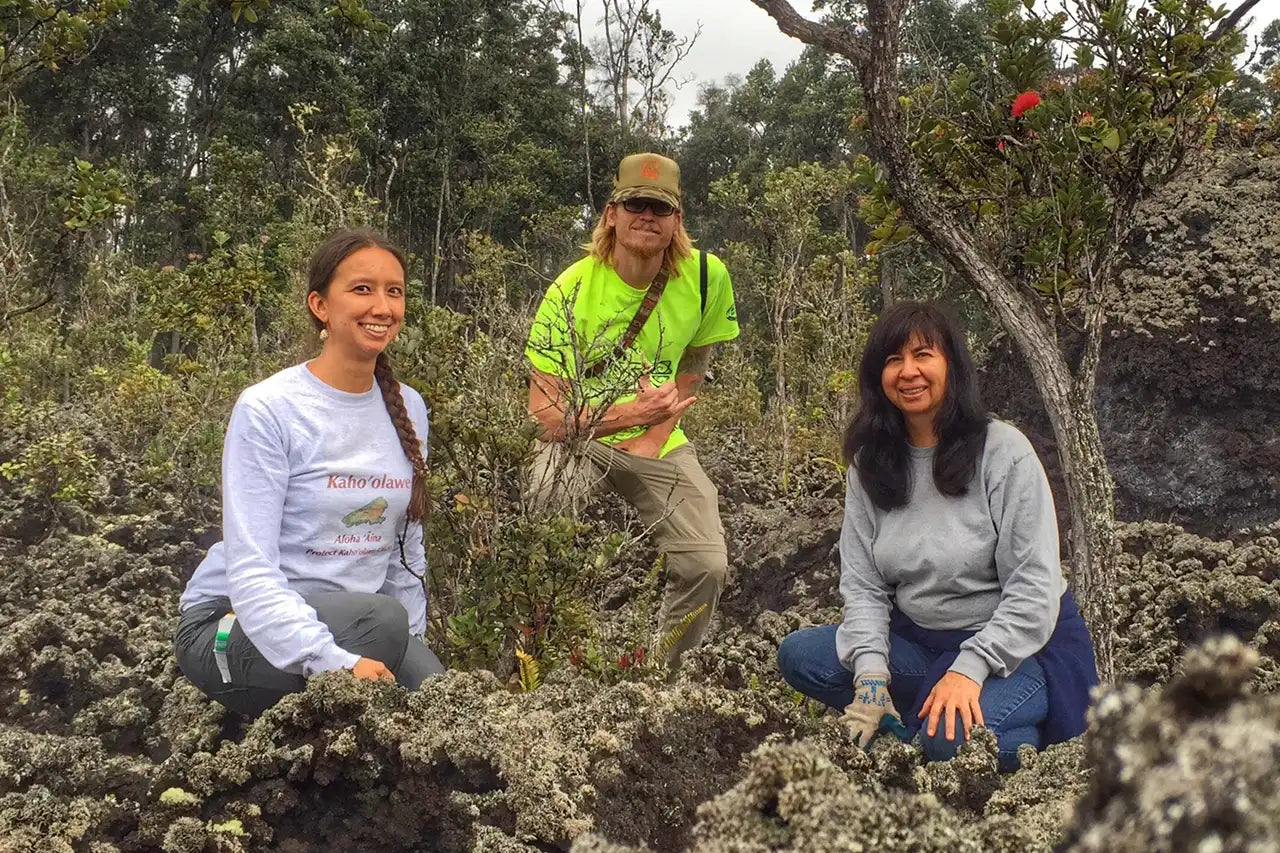 Three people in a forested area with one holding a plant