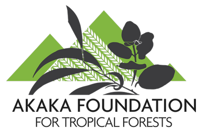 Logo of Akaka Foundation for Tropical Forests with green and black elements on a white background